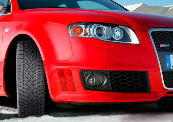 Test vinterdæk Goodyear og Dunlop Winterbanden test Goodyear en Dunlop