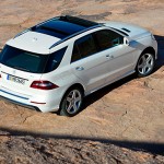 梅賽德斯 ​​- 奔馳 M級 ML 250 BLUETEC，當然，好車的偶爾砂搜索